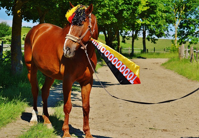 开云体育五大联赛18888元大放送